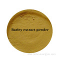 Factory price Barley extract ingredients powder for sale